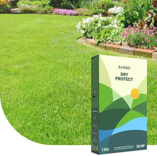 Dry Protect : Semence gazon terrain sec - 3 kg pour 150 m² - Résistant à la sécheresse et à la chaleur - Racines profondes et robustes - Avec enrobage pour une germination optimale