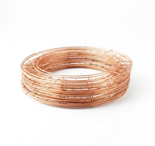 Pack of 10 Wire Wreath Ring Frame Set, 30 cm/12 inch for Christmas and Festive Crafts