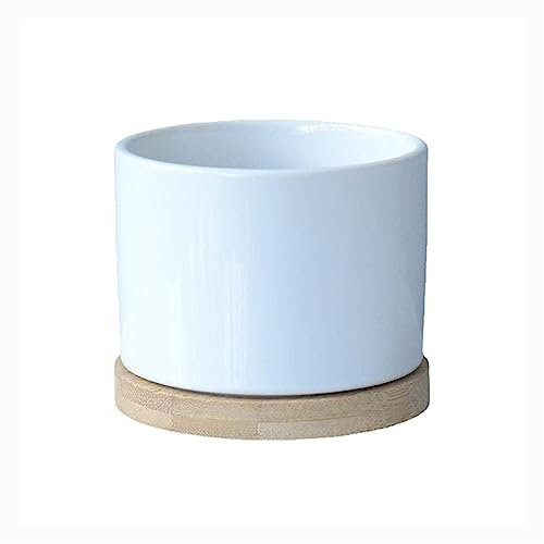 Maceta Interior Macetas de cerámica de color blanco puro con bandeja de madera, macetas, plantas suculentas, flores, plantas verdes, cultivo, maceteros, decoración del hogar Jardineras Exterior