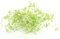 Creativery Perlengirlande 5St. x 1,3m Perlenband Perlenkette Tischdeko Perlenschnur Farbauswahl: hell Mint/pastelgrün 513