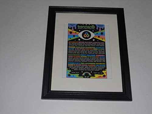 Cleveland Bonnaroo 2019 Handschreiber, Vinylrahmen, 36 x 43 cm, Post Malone, Phish, Childish Gambimo, The Lumineers, Cardi B