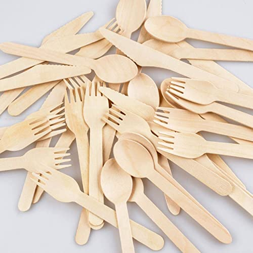 Nationwide Paper Disposable Wooden Cutlery Set of Forks, Knives, Spoons and Sporks (300, Cutlery Set)