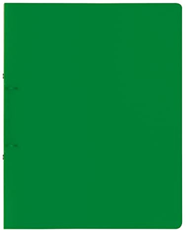 NEU BRUNNEN Ringbuch FACT!pp mit 2 Ringen, DIN A4, 16mm Füllhöhe, grün