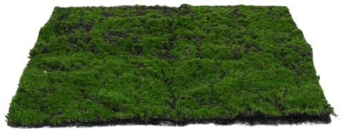 NULYLU Realistic Fake Moss Mat 30cmx30cm Long-lasting Artificial Turf Made of Pearl Cotton and Flocking for Glass Containers and Living Wall Art Home Decoration