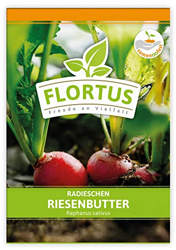 FLORTUS Radieschen Riesenbutter | Gemüsesamen | Radieschensamen | Samen zur Anzucht für Garten, Balkon, Küche & Fensterbank