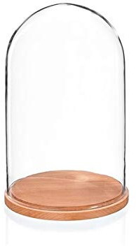 EMH Cloche dôme en verre avec base naturelle 31 x 15 cm