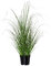 CREATIV green künstliches Zebragras 58 cm im Topf I naturgetreues Wildgras im Topf I Deko Gräser für Innen I hochwertige & dekorative Dekopflanze I Grasbusch für Indoor I lebensechte Kunstpflanze