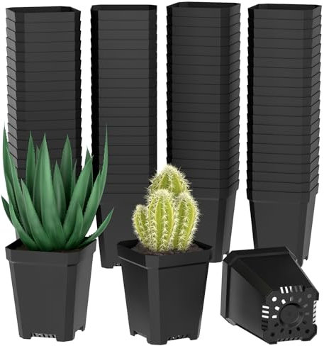 100 PCS Mini Macetas Plastico Cuadradas, Maceteros Pequeños de Plastico con Orificios de Drenaje, Macetas Plastico Negro, Mini Macetas de Plantas para Flores, Plantas, Hortalizas, 6.5*5.5*4 CM