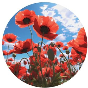 BROLEO poppy flowers pattern Round Shape Car Air Fresheners Cards Set of 4 slices : Hanging Scented Cards for bedroom Bathroom Car Interior Decor