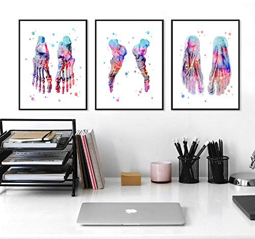 Füße Print Set Skeleton Aquarell Kunst Leinwand Poster Malerei Fußknochen Anatomie Medizin Wand Print Klinik Arztpraxis Decor Rahmenlose 35 * 50 cm * 3 Stücke