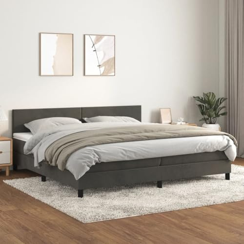 Willood Boxspringbett mit Matratze Dunkelgrau 200x200 cm SamtSchlichtes Design