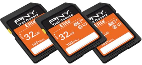 PNY Elite™ Class 10 U1 V10 SDHC Trail Kamera-Flash-Speicher, Lesen bis zu 100 MB/s, UHS-I, HD-Foto und Video, Outdoor-Kamera, DSLR-Kamera, taktile Verwendung, Wildtier-Enthusiasten, 32 GB, 3er-Pack