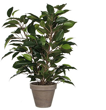 MICA Decorations Plante décorative 40 x 30 cm Céramique Vert PVC Ficus