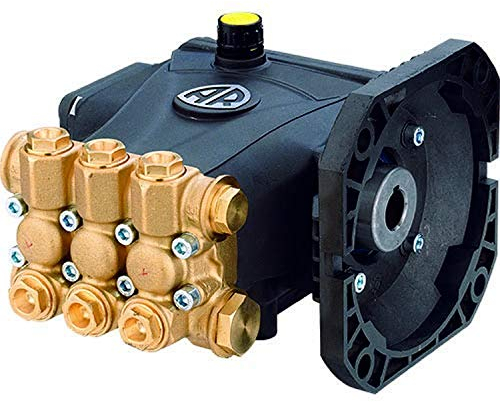 AR ANNOVI REVERBERI RCAM1G15EF8-SX Pompa a stantuffo triplex per motori a gas orizzontali da 1 GPM, 1.0, 1500 PSI, acciaio