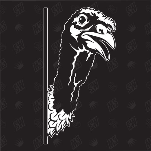 speedwerk-motorwear Truthahn Version 1 - Aufkleber, Autoaufkleber, Sticker, Pute, Henne, Huhn, Geflügel, Hahn, Bauernhof, Tiere, Farmanimals, Farmtiere (AUCH MIT Wunschname MÖGLICH)