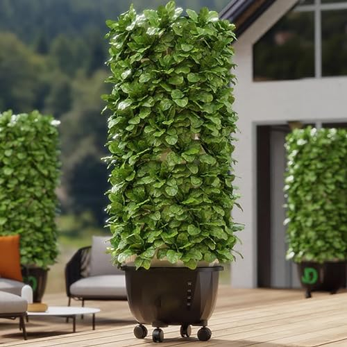 MTSYXYM Hydroponic System Indoor,hydroponisches anzuchtsystem,Vegetable Hydroponic Growing System,für Kräuter, Obst und Gemüse mit Feuchtigkeitspumpe, Adapter, Netztöpfen.
