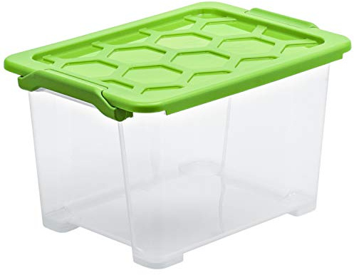 Rotho Evo Safe Keeping Aufbewahrungsbox 15l mit Deckel, Kunststoff (lebensmittelecht) BPA-frei, transparent/grün, 15l (39,3 x 28,3 x 23,0 cm)