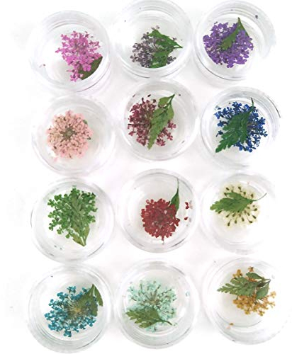 Flower Nail Art, Real Flowers for Nails, 3D Nail Stickers with Nature Dry Flowers Leaves 36 Pcs