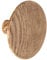 WENKO Wandhaken Melle Eiche-Optik, Haken zum Schrauben Colgador mural Melle decor roble 4.5 x 8 x 8 cm