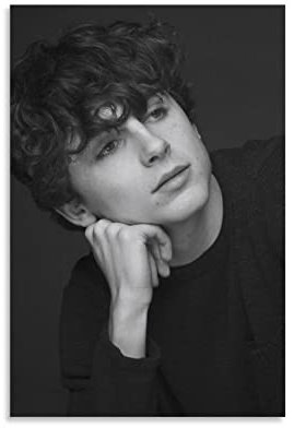 Actor Star Timothee Chalamet Poster Bild Druck Leinwand Gemälde Schlafzimmer Ästhetik 20 x 30 cm Unframe Stil