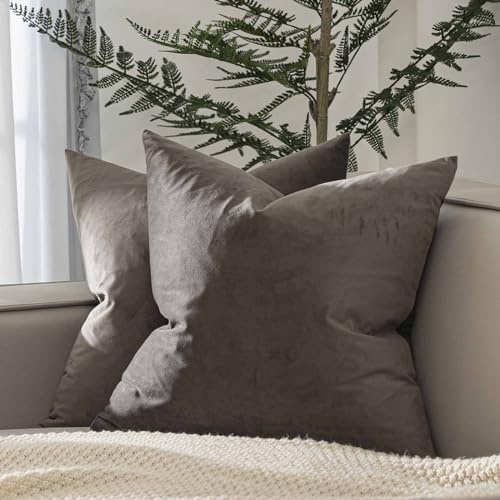 JUSPURBET Velvet Decorative Throw Pillow Covers 14x14 Set of 2,Ash | Decorative Pillow Covers with Invisible Zipper for Sofa Living Room Bedroom Home Decor Modern