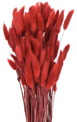 QUARKZMAN 120pcs Queue de Lapin Naturelle Fleurs séchées 17 Mini Herbe de Pampa Lagurus Ovatus Botte pour Décoration Florale Mariage Noël, Rouge