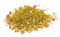 Statisches Gras, Alpenwiese mit Felsen, 2,5 mm