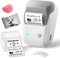 NIIMBOT B1 Großformat-Etikettendrucker, Beschriftungsgerät Selbstklebend Tragbarer Label Printer für Kleine Unternehmen, Logo, Adresse, Bürobedarf kompatibel mit Handys & PC, Grau