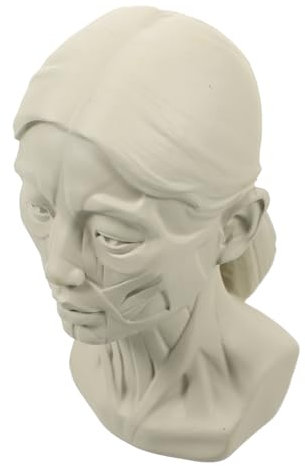 IWOWHERO Zeichenskulptur Figurenskulptur Modell Zum Skizzieren Skulpturenornament Werkzeug Zum Skizzieren Lehrmittel Skizzenform Desktop-Figur