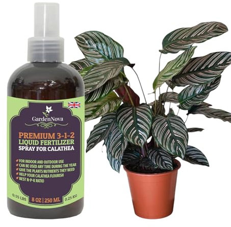 Professional Calathea Spray Fertilizer Mist for Home Gardening | 3-1-2 Gentle Blend Mist for Healthy Leaves & Growth | Essential Nutrients for Calathea - 8oz
