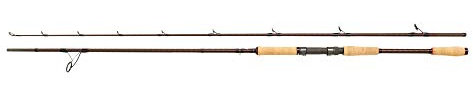 Abu Garcia Beast Pro Allround-Spinnrute – Spinnrute zum Hechtangeln