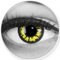 Funnylens Farbige Kontaktlinsen Yellow Wolf gelbe schwarz - weich ohne Stärke 2er Pack + gratis Behälter – 12 Monatslinsen - perfekt zu Halloween Karneval Fasching oder Fasnacht