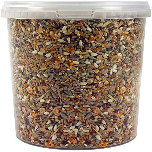 SQUAWK No Mess Seed Mix | Garden Wild Bird Food Mixture | Husk and Shell Free Seeds | Premium Quality Balanced Formula | Protein-Rich Mix Great Source of Energy | Attracts Various Birds (2.5L Tub)