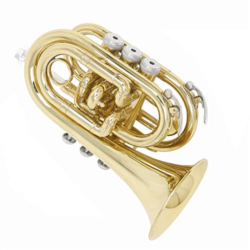 B-Palm Trompete Goldene Mini-Taschentrompete Anfänger Profi Spielendes Blechblasinstrument In Testqualität Trompete im Taschenformat