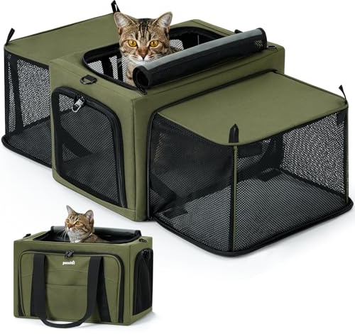 Pecute Transportbox Katze für Katzen & Kleine Hunde, Erweiterbar, Grün | Bis 200% erweiterbar, stabiler Stahldrahtrahmen, Ausbruchschutz-Schloss, Autobefestigung, faltbar, kühl & stressfrei