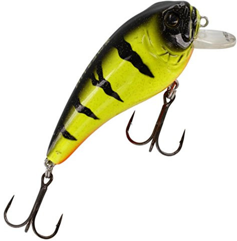 Westin Fat Bite Floating Wobbler Spinnfischen Crankbait Barsch Hecht Forelle Spinnköder Raubfische Barschköder Fire Perch 5.5cm / 8g / schwimmend / 0.3-0.8m