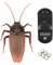 Infrarot Fernbedienung Gefälschte Kakerlake Elektrische Simulation Kakerlaken Look Real RC Streich Tier Insekten Witz Scary Funny Trick Bugs für Party Halloween Weihnachten
