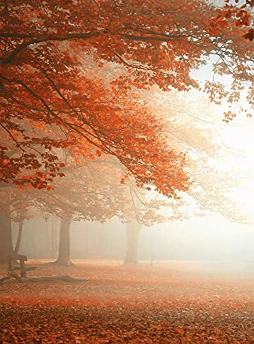 Fototapete Wald Bäume Natur Nebel Herbst Schlafzimmer Wohnzimmer | 1,92 m x 2,6 m | Orange, Rot, Braun, Weiß