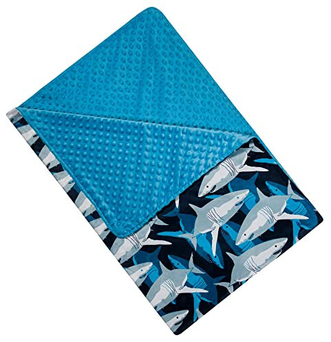 Wildkin Plüsch-Überwurfdecke für Jungen und Mädchen, perfekt für gemütliche Kuscheln und Reisedecke für Kinder, superweiche und atmungsaktive Plüschdecken, Maße: 152,4 x 101,6 cm (Häie)