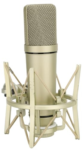 Annadue Microphone à Condensateur, Microphone à Condensateur Cardioïde Filaire en Métal pour Enregistrement Vocal, Podcast, Streaming, Base Stable Incluse, Large Application pour