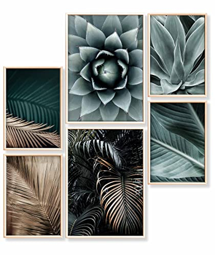 Heimlich – Poster-Set – 2 A3 / 30 x 42 cm + 4 A4 / 21 x 30 cm – Premium-Poster – ungerahmte Drucke – moderner Stil – Agavenpalme Gold