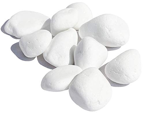 MGS SHOP Dekokies Zierkies Deko DIY Kies Granulat Splitt - Farbe wählbar (5 kg, Schneeweiß 15-25)