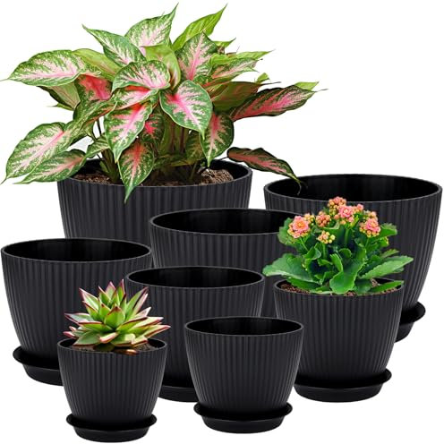 Macetas De Plástico, 8 Piezas Maceta con Agujero, Platillo Redondo, Macetas Pequeñas Cactus, Juego De Macetas para Hierbas, Maceta Ideal para Oficina, Balcón, Suculentas-Negro
