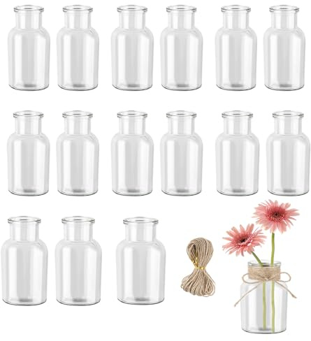 BOPEUY 16 Stück Mini Vasen Set, 125ml Kleine Vasen für Tischdeko mit 20m Juteschnur, Kleine Glasvasen für Tischdeko, Heimgebrauch, Hochzeitsdekoration, Geburtstag, Deko Gläser