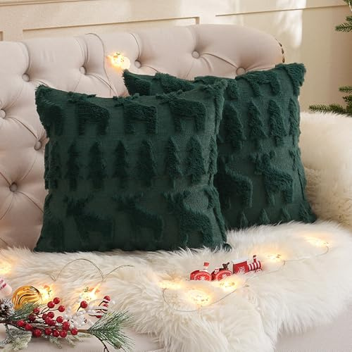 TOCOMOA 2er Set Kissenbezug 45x45 Grün, Flauschig Zierkissen Kissenbezüge in Wolle, Frühling Plüsch Sofakissen Zierkissenbezug, Kissenhülle aus Polyester, Dekokissen Bezug für Sofa Schlafzimmer