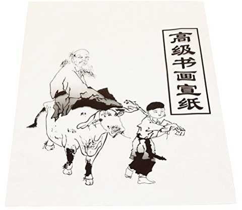 ROSENICE Papier de riz Xuan Papier de Calligraphie Chinoise Sumi Peinture Pratique 30 Feuilles