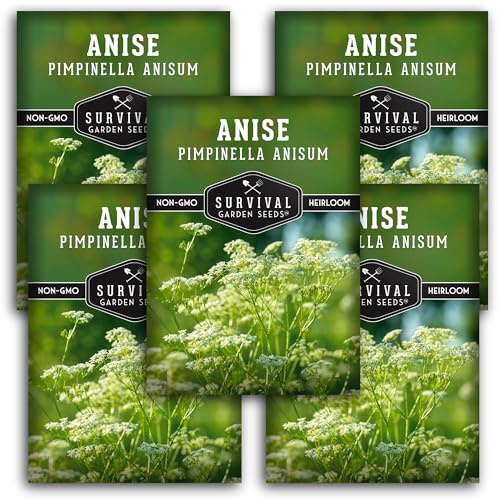 Anise Seeds for Planting - Sweet Anise Herb (Pimpinella anisum) - Culinary and Tea Garden Variety, Heirloom Non GMO - Survival Garden Seeds (5 Pack)