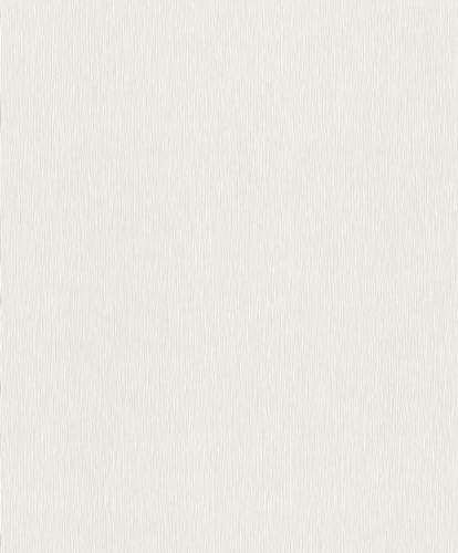 Rasch Tapeten 810110 - Unitapete aus Vlies in Hellgrau aus der Kollektion Color your life - 10,05 m x 0,53 m (LxB)