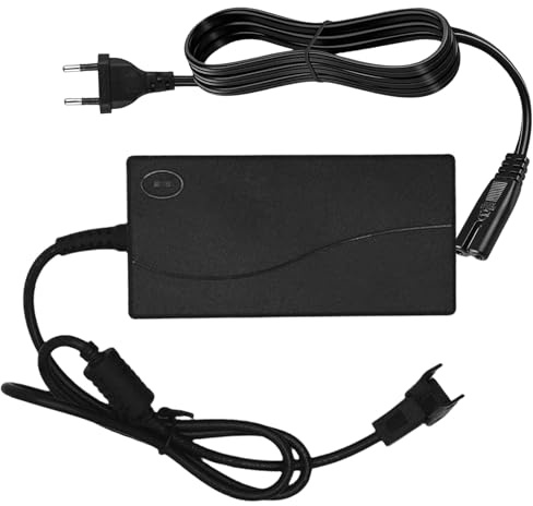 Power Recliner Netzteil 29V/24V 2A, Elektro Reclinersofa Elektro Sofa Transformator Stromversorgung Netzkabel Ersatzteile Ladegerät für Lift Chair, Power Recliner, Fernsehsessel 2 Pin Ersatznetzteil