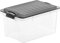 Rotho Compact Aufbewahrungsbox 4.5l mit Deckel, Kunststoff (PP) BPA-frei, grau/transparent, A5/4.5l (27.0 x 18.5 x 15.0 cm)